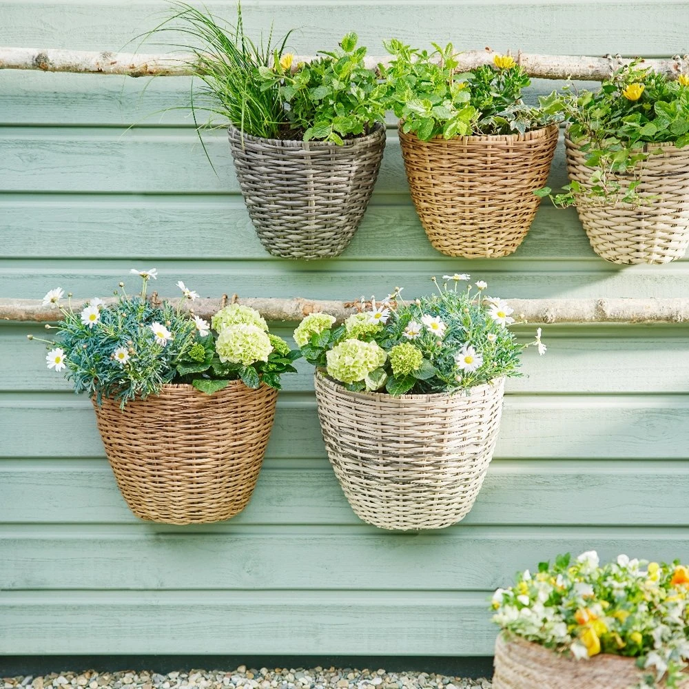 Balkonbak Wicker 3 Kl. Ass - 18 X 29 X 38 Cm 7 Balkonbak Wicker 3 Kl. Ass - 18 X 29 X 38 Cm - Afbeelding 5