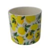 Bloempot D 15,5 X H 14 Cm Lemon -Buitentuin bloempot d 15 5 x h 14 cm lemon 1500x1500 684eba786be7d l