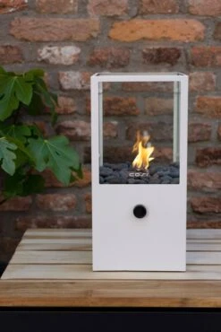 COSISCOOP Dome White 7 COSISCOOP Dome White -Buitentuin cosi fires cosiscoop dome white 667x1000 620e423790103 l