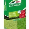 DCM Meststof Gazonstart -Buitentuin dcm meststof gazonstart 1586240779 l