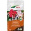 DCM Potgrond Terrasplanten & Mediterrane Planten 60 L 2 DCM Potgrond Terrasplanten & Mediterrane Planten 60 L -Buitentuin dcm potgrond terrasplanten mediterrane planten 60 l 1000x1000 6483002c6442a l