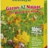 ECOstyle Gazon-AZ Najaar 2 Kg 1 ECOstyle Gazon-AZ Najaar 2 Kg -Buitentuin ecostyle gazon az najaar 2 kg 1614086099 l