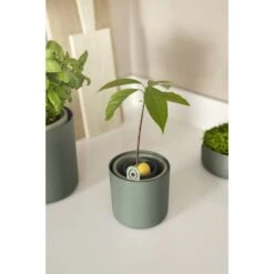 Elho Amazing Avocado Pot Groen 15 Elho Amazing Avocado Pot Groen -Buitentuin elho amazing avocado pot groen 1000x1000 64aeba7ae3b1b l