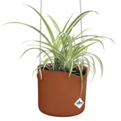 Elho B.for Swing 18 Cm Bruin 12 Elho B.for Swing 18 Cm Bruin -Buitentuin elho b for swing 18 cm bruin 1000x1000 64aebb4d46d37 l