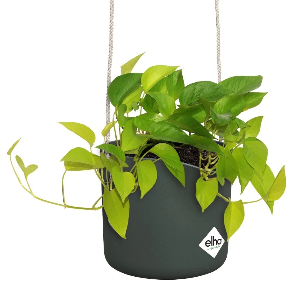 Elho B.for Swing 18 Cm Groen 5 Elho B.for Swing 18 Cm Groen - Afbeelding 3