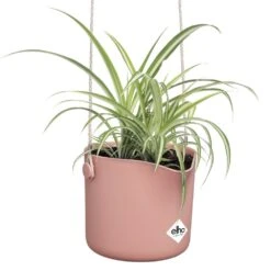 Elho B.for Swing 18 Cm Roze -Buitentuin elho b for swing 18 cm roze 1000x1000 64aebb4331e65 l