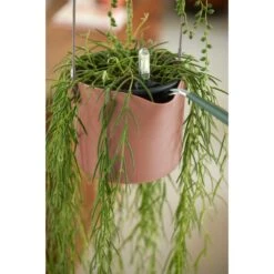 Elho B.for Swing 18 Cm Roze -Buitentuin elho b for swing 18 cm roze 1000x1000 64aebb45b65fe l