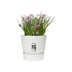 Elho Bloempot Greenville Rond 14cm Wit 9 Elho Bloempot Greenville Rond 14cm Wit -Buitentuin elho bloempot greenville rond 14cm wit 800x800 620e3cba958f0 l