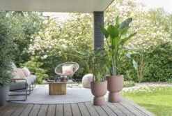 Elho Bloempot Pure Coupe 35cm Bruin -Buitentuin elho bloempot pure coupe 35cm bruin 800x537 620e3d01df56a l