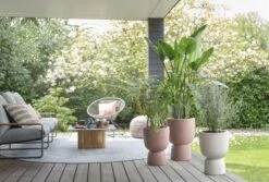 Elho Bloempot Pure Coupe 35cm Bruin -Buitentuin elho bloempot pure coupe 35cm bruin 800x540 620e3d034e2d0 l