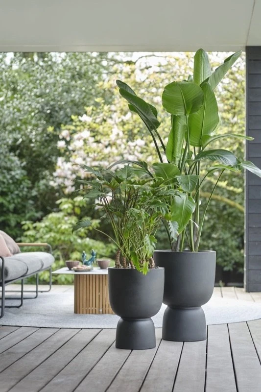 Elho Bloempot Pure Coupe 41cm Zwart 9 Elho Bloempot Pure Coupe 41cm Zwart - Afbeelding 7