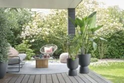 Elho Bloempot Pure Coupe 41cm Zwart 14 Elho Bloempot Pure Coupe 41cm Zwart -Buitentuin elho bloempot pure coupe 41cm zwart 800x537 620e3cf945312 l