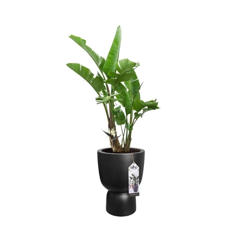 Elho Bloempot Pure Coupe 41cm Zwart 4 Elho Bloempot Pure Coupe 41cm Zwart - Afbeelding 2