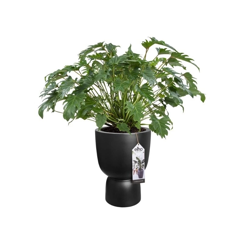 Elho Bloempot Pure Coupe 41cm Zwart 6 Elho Bloempot Pure Coupe 41cm Zwart - Afbeelding 4