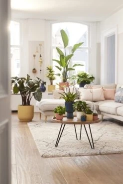 Elho Bloempot Vibes Fold Rond 30cm Roze 15 Elho Bloempot Vibes Fold Rond 30cm Roze -Buitentuin elho bloempot vibes fold rond 30cm roze 534x800 620e3ce22e725 l