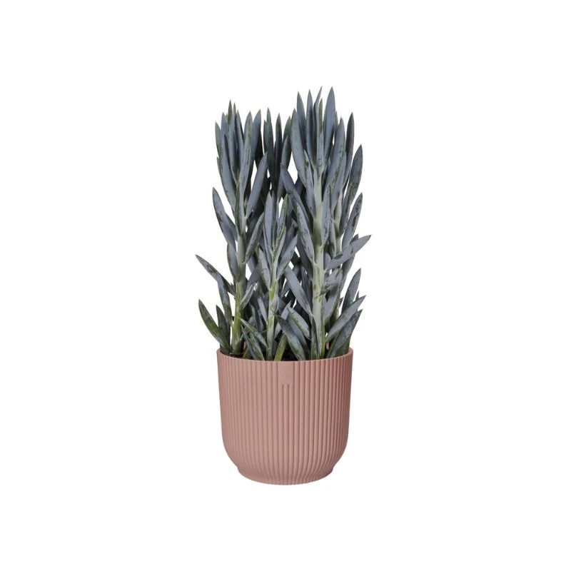 Elho Bloempot Vibes Fold Rond 30cm Roze 5 Elho Bloempot Vibes Fold Rond 30cm Roze - Afbeelding 3