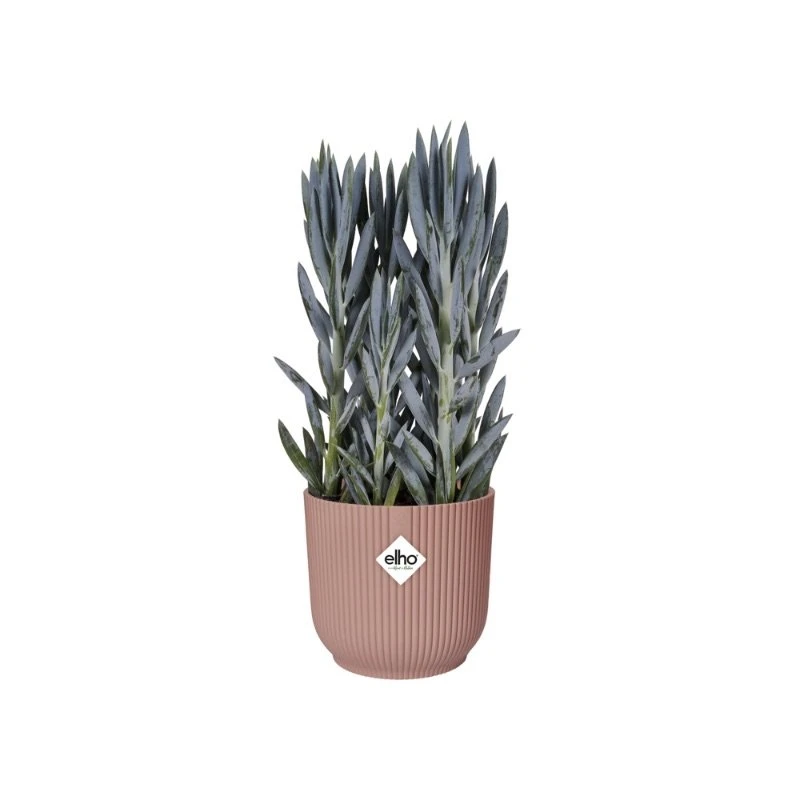 Elho Bloempot Vibes Fold Rond 30cm Roze 6 Elho Bloempot Vibes Fold Rond 30cm Roze - Afbeelding 4