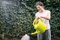 Elho Green Basics Gieter 10ltr -Buitentuin elho green basics gieter 10ltr 324x216 65537f99c3345 l