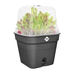 Elho Green Basics Kweekpot Vierk. Allin1 25 Cm Zwart -Buitentuin elho green basics kweekpot vierk allin1 25 cm zwart 1000x1000 64aebadfb6e65 l