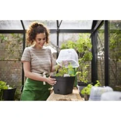 Elho Green Basics Kweekpot Vierk. Allin1 25 Cm Zwart -Buitentuin elho green basics kweekpot vierk allin1 25 cm zwart 1000x1000 64aebae14e86a l