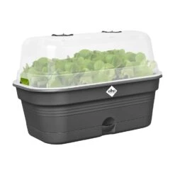 Elho Green Basics Kweektray Allin1 L Zwart 12 Elho Green Basics Kweektray Allin1 L Zwart -Buitentuin elho green basics kweektray allin1 l zwart 1000x1000 64aeba86be1b3 l
