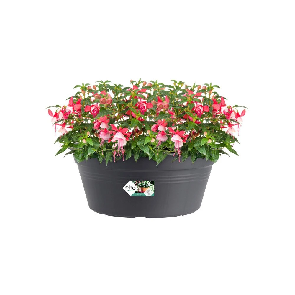 Elho Green Basics Schaal 38cm Living Black 4 Elho Green Basics Schaal 38cm Living Black - Afbeelding 2