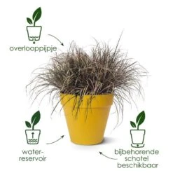 Elho Loft Urban Rond 20cm Wit -Buitentuin elho loft urban rond 20cm wit 1000x1000 6834db0d80d54 l