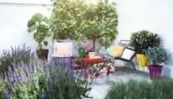 Elho Loft Urban Rond 30 -Buitentuin elho loft urban rond 30 354x203 65537fa055cef l