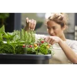 Elho Noa Kweektafel Zwart 16 Elho Noa Kweektafel Zwart -Buitentuin elho noa kweektafel zwart 1000x1000 64aebaca7b56b l