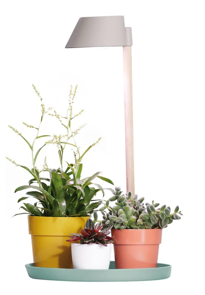 Elho Plant Light Care 11cm Gletsjer Grijs 4 Elho Plant Light Care 11cm Gletsjer Grijs - Afbeelding 2