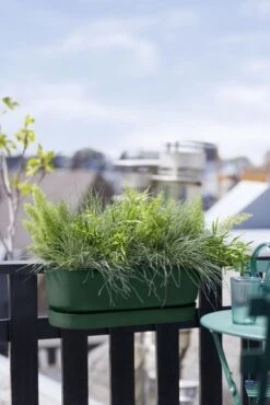 Elho Plantenbak Greenville Easy Balcony 52cm Groen -Buitentuin elho plantenbak greenville easy balcony 52cm groen 534x800 620e3d7cec8d4 l