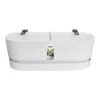 Elho Plantenbak Greenville Easy Balcony 52cm Wit 2 Elho Plantenbak Greenville Easy Balcony 52cm Wit -Buitentuin elho plantenbak greenville easy balcony 52cm wit 800x800 620e3d700c947 l