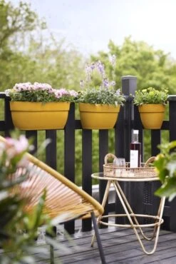 Elho Plantenbak Vibia Campana Easy Hanger Large Geel -Buitentuin elho plantenbak vibia campana easy hanger large geel 534x800 620e3ce805d55 l