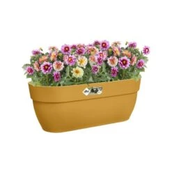 Elho Plantenbak Vibia Campana Easy Hanger Large Geel -Buitentuin elho plantenbak vibia campana easy hanger large geel 800x800 620e3ce7b4e0f l