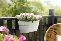 Elho Plantenbak Vibia Campana Easy Hanger Large Wit 12 Elho Plantenbak Vibia Campana Easy Hanger Large Wit -Buitentuin elho plantenbak vibia campana easy hanger large wit 800x534 620e3cef11e5e l