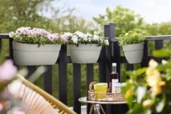 Elho Plantenbak Vibia Campana Easy Hanger Large Wit 13 Elho Plantenbak Vibia Campana Easy Hanger Large Wit -Buitentuin elho plantenbak vibia campana easy hanger large wit 800x534 620e3cef4542d l