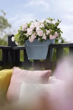 Elho Plantenbak Vibia Campana Flower Bridge 40cm Blauw 12 Elho Plantenbak Vibia Campana Flower Bridge 40cm Blauw -Buitentuin elho plantenbak vibia campana flower bridge 40cm blauw 534x800 620e3d2658489 l