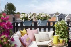 Elho Plantenbak Vibia Campana Flower Bridge 40cm Blauw 13 Elho Plantenbak Vibia Campana Flower Bridge 40cm Blauw -Buitentuin elho plantenbak vibia campana flower bridge 40cm blauw 800x534 620e3d26b92ed l