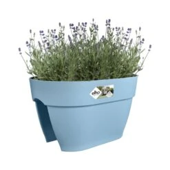 Elho Plantenbak Vibia Campana Flower Bridge 40cm Blauw 11 Elho Plantenbak Vibia Campana Flower Bridge 40cm Blauw -Buitentuin elho plantenbak vibia campana flower bridge 40cm blauw 800x800 620e3d25c207f l
