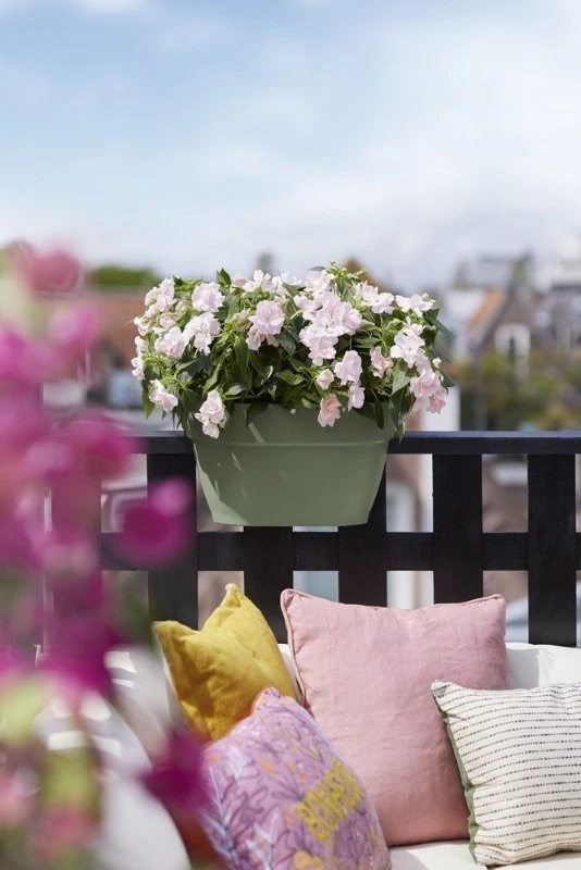 Elho Plantenbak Vibia Campana Flower Bridge 40cm Groen 8 Elho Plantenbak Vibia Campana Flower Bridge 40cm Groen - Afbeelding 6