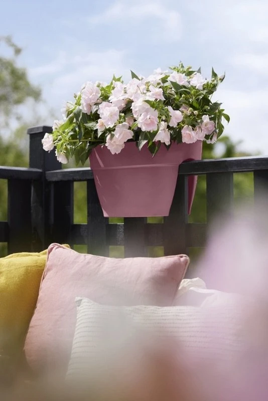 Elho Plantenbak Vibia Campana Flower Bridge 40cm Roze 8 Elho Plantenbak Vibia Campana Flower Bridge 40cm Roze - Afbeelding 6