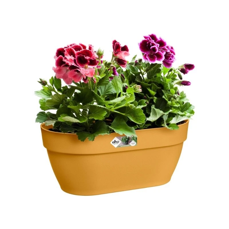 Elho Plantenbak Vibia Campana Wall Basket 35cm Geel 4 Elho Plantenbak Vibia Campana Wall Basket 35cm Geel - Afbeelding 2