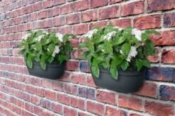 Elho Plantenbak Vibia Campana Wall Basket 35cm Grijs -Buitentuin elho plantenbak vibia campana wall basket 35cm grijs 800x530 620e3d297e12c l