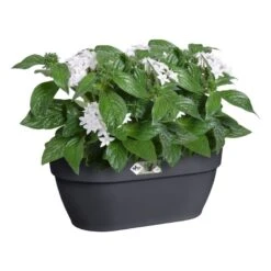 Elho Plantenbak Vibia Campana Wall Basket 35cm Grijs -Buitentuin elho plantenbak vibia campana wall basket 35cm grijs 800x800 620e3d2887da3 l