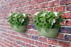 Elho Plantenbak Vibia Campana Wall Basket 35cm Groen 9 Elho Plantenbak Vibia Campana Wall Basket 35cm Groen -Buitentuin elho plantenbak vibia campana wall basket 35cm groen 800x530 620e3d354687b l