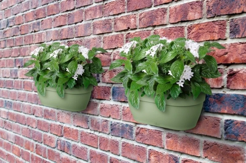 Elho Plantenbak Vibia Campana Wall Basket 35cm Groen 6 Elho Plantenbak Vibia Campana Wall Basket 35cm Groen - Afbeelding 4