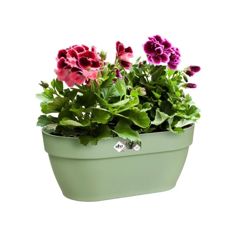 Elho Plantenbak Vibia Campana Wall Basket 35cm Groen 4 Elho Plantenbak Vibia Campana Wall Basket 35cm Groen - Afbeelding 2
