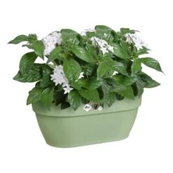 Elho Plantenbak Vibia Campana Wall Basket 35cm Groen 8 Elho Plantenbak Vibia Campana Wall Basket 35cm Groen -Buitentuin elho plantenbak vibia campana wall basket 35cm groen 800x800 620e3d34ef5e9 l