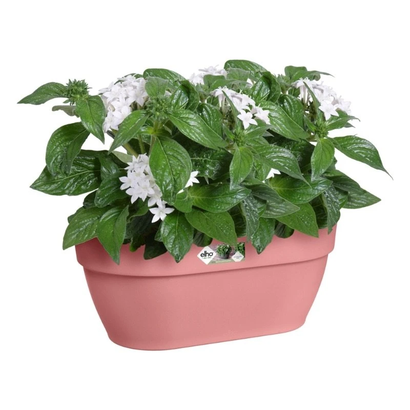 Elho Plantenbak Vibia Campana Wall Basket 35cm Roze 4 Elho Plantenbak Vibia Campana Wall Basket 35cm Roze - Afbeelding 2