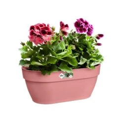 Elho Plantenbak Vibia Campana Wall Basket 35cm Roze 8 Elho Plantenbak Vibia Campana Wall Basket 35cm Roze -Buitentuin elho plantenbak vibia campana wall basket 35cm roze 800x800 620e3d2e9bf92 l